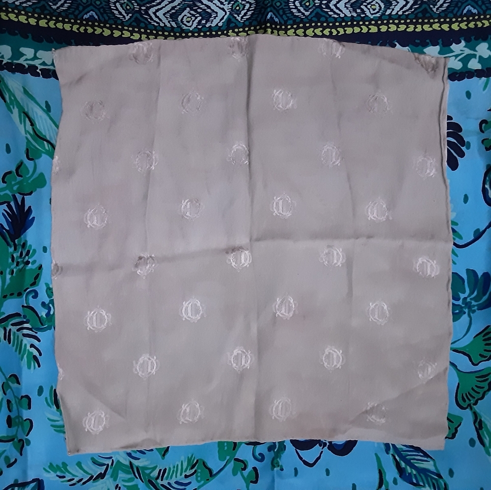 Christian Dior Silk Greyish Green Logo Scarf